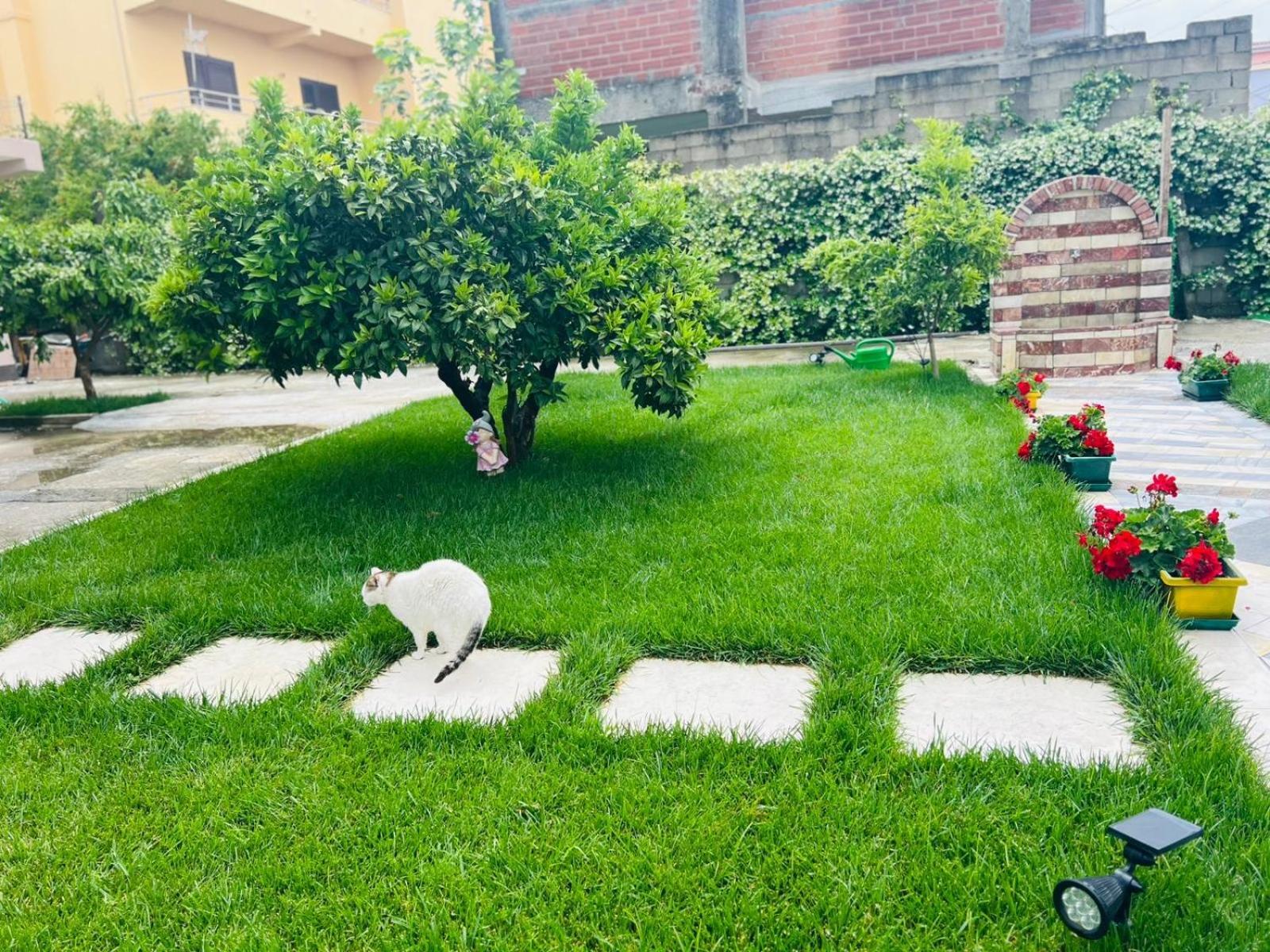 Appartamento Sarvi *